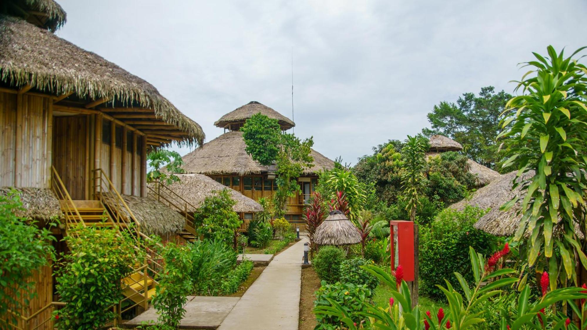 La Selva Eco-Lodge & Retreat Providencia Exterior foto