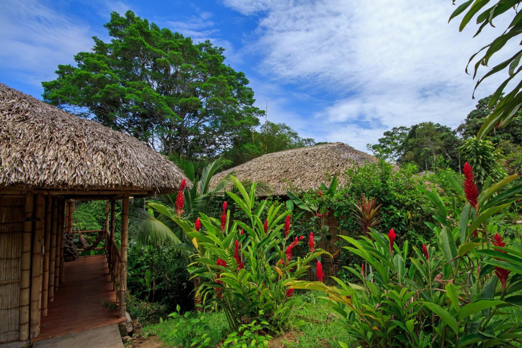 La Selva Eco-Lodge & Retreat Providencia Exterior foto